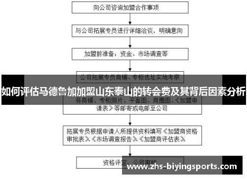 如何评估马德鲁加加盟山东泰山的转会费及其背后因素分析