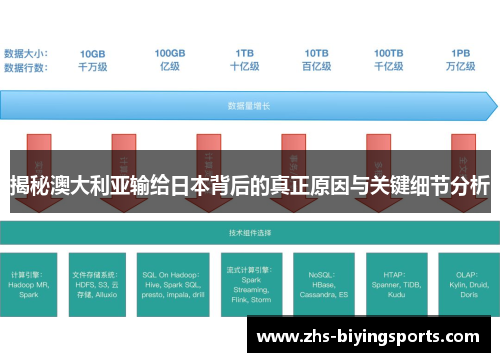 揭秘澳大利亚输给日本背后的真正原因与关键细节分析